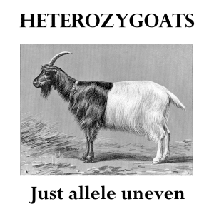 Heterozygoats