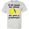 If Life Hands You Melons T-Shirt (ash)