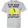 If Life Hands You Melons T-Shirt (slate)
