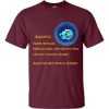 Aquarius T-Shirt (maroon)
