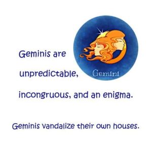 Gemini