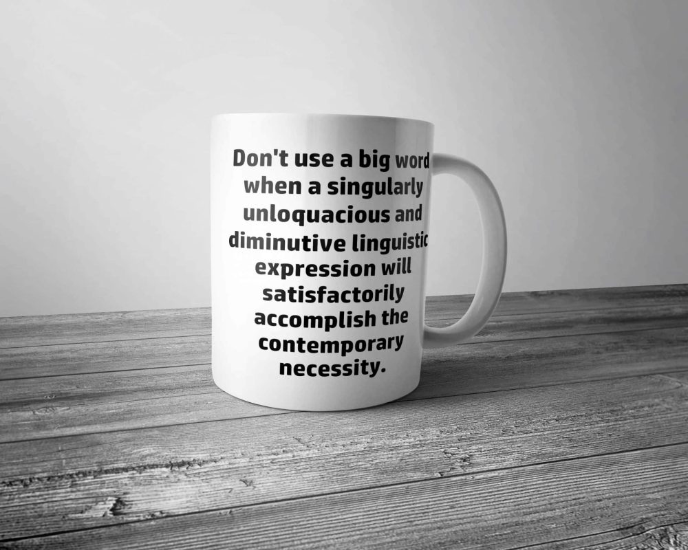 Don't Use a Big Word Mug