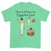 How to Distract an Egyptian God (mint)