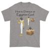 How to Distract an Egyptian God (slate)