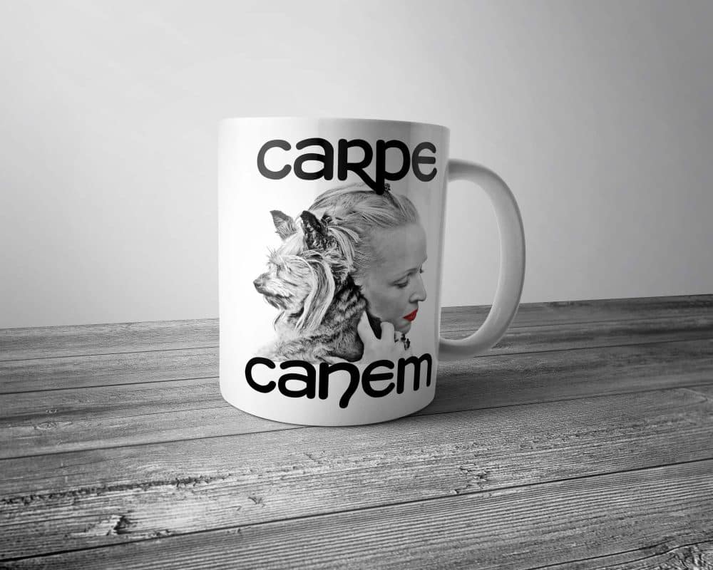 Carpe Canem Mug