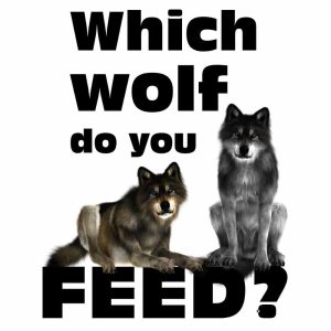 Which Wolf do you Feed?