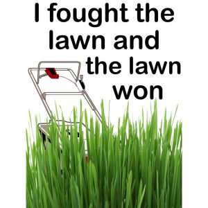 I Fought the Lawn