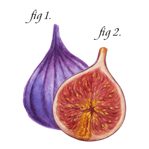 Figs